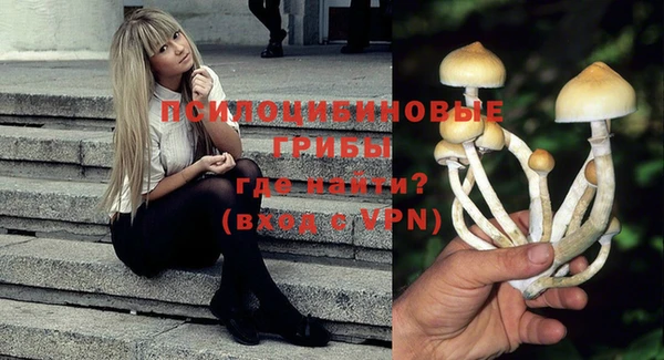 МДПВ Белокуриха