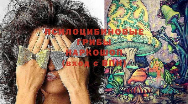 хмурый Белоозёрский