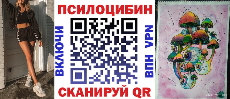 Галлюциногенные грибы Psilocybe  Калининец 