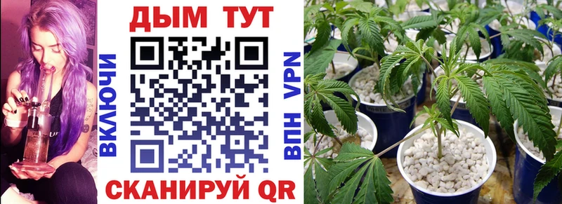 где можно купить   Калининец  МАРИХУАНА THC 21% 